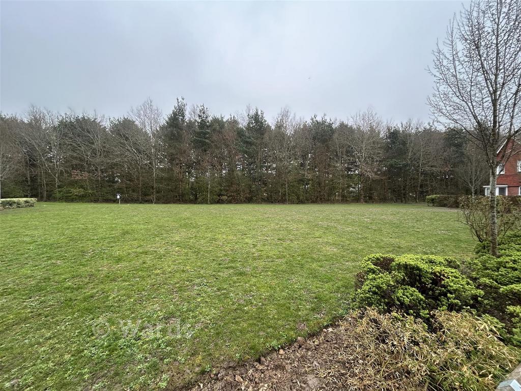 Surrounding Area