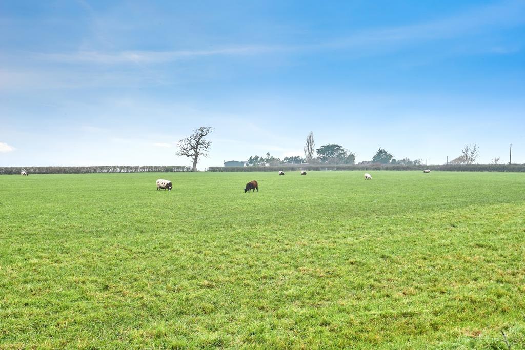 Countryside Views