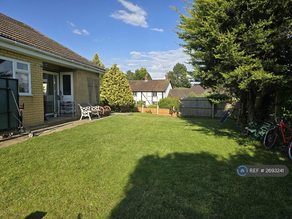 Back Garden