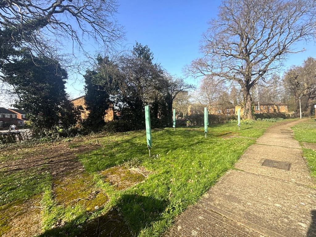 Communal Garden.jpeg