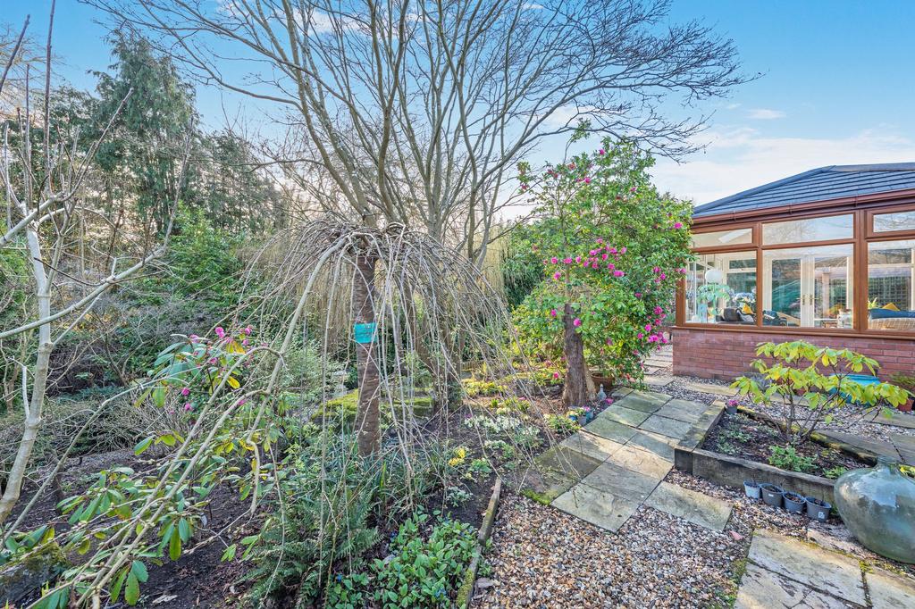 Garden to rear