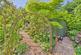 Additional image 39 of The Highway, Hawarden, CH5