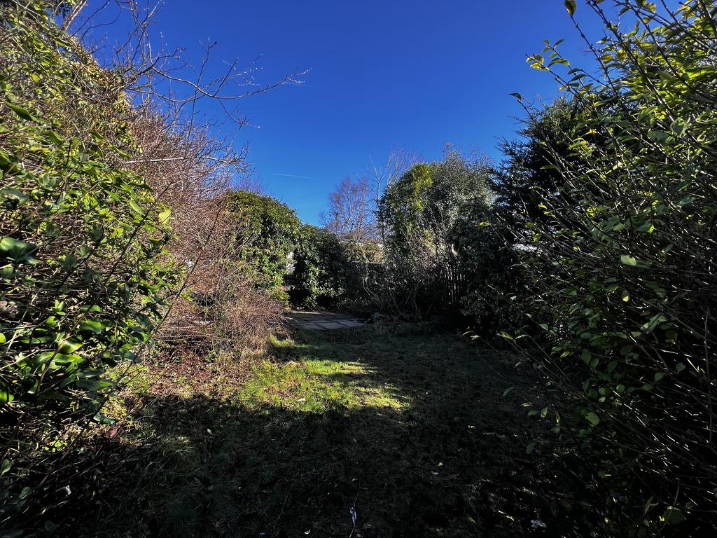 Img 6868.jpg