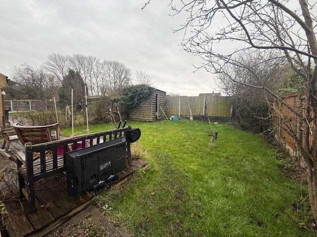 Garden jpg