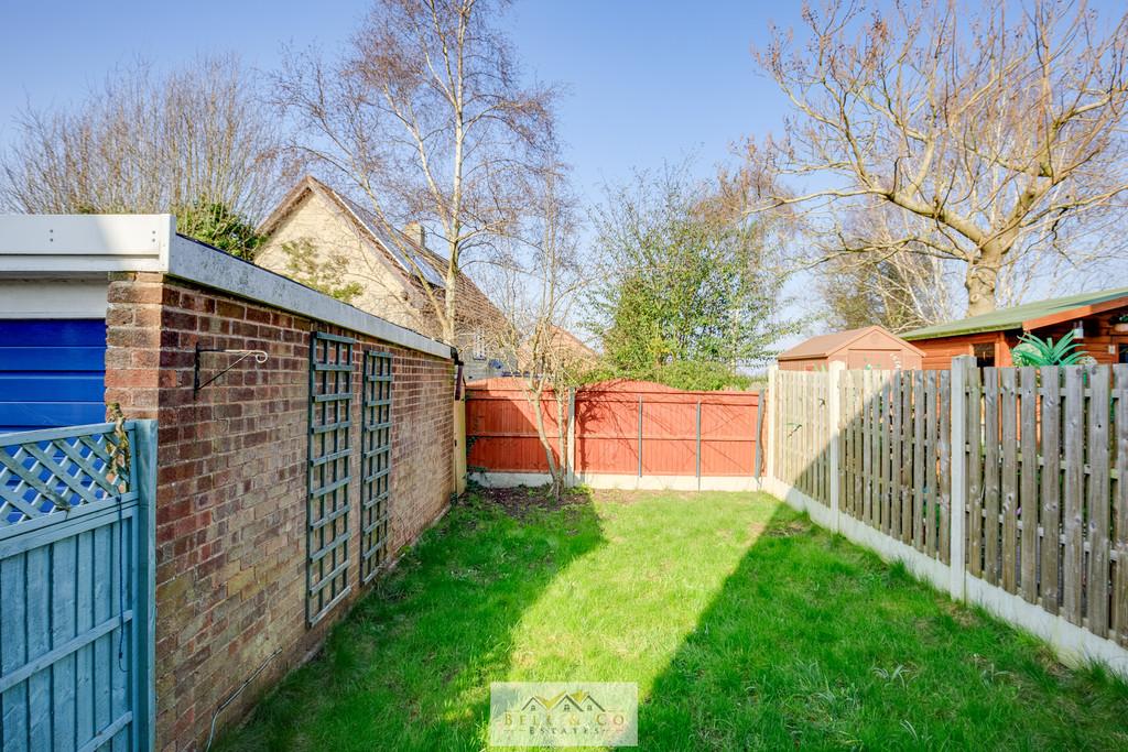 Back garden