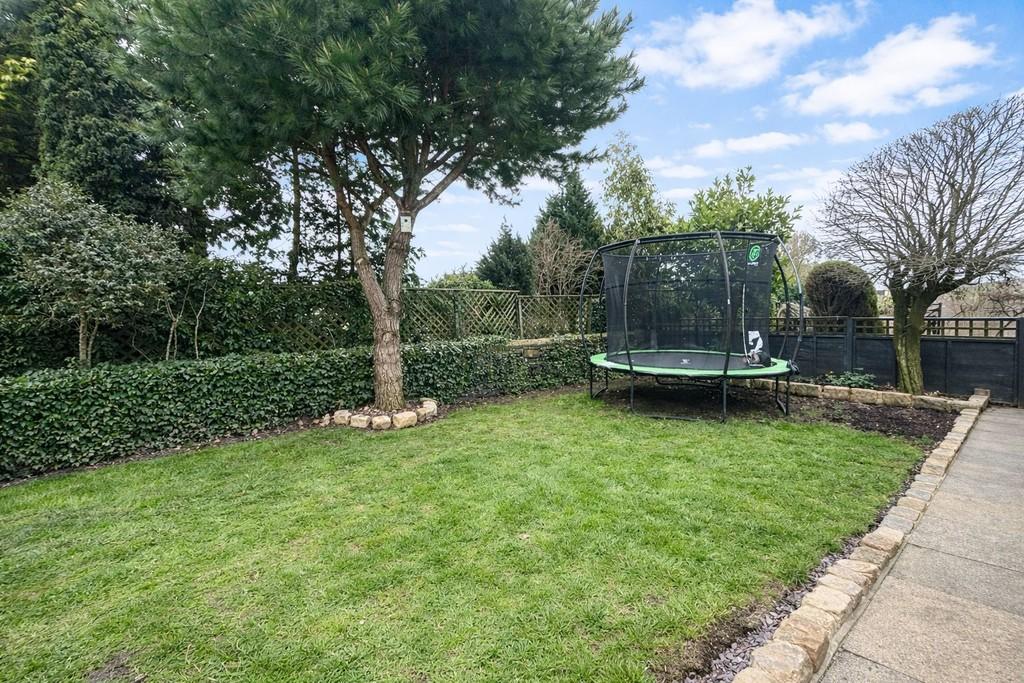 Back Garden