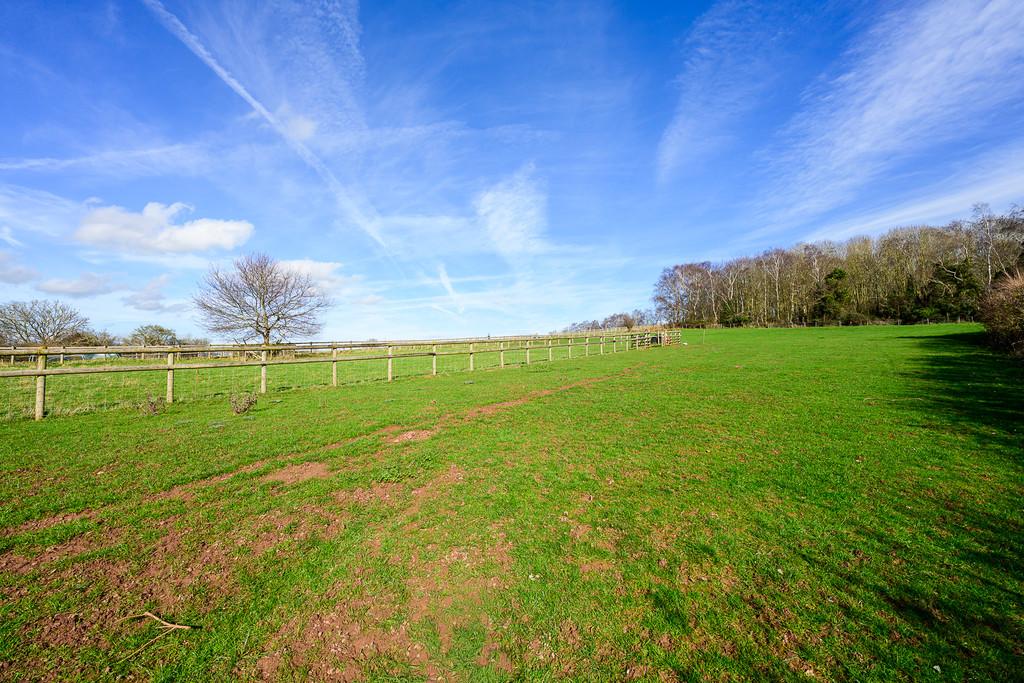 Grove Farm-51