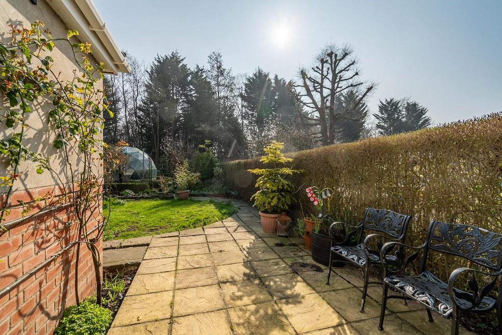 Rear Patio
