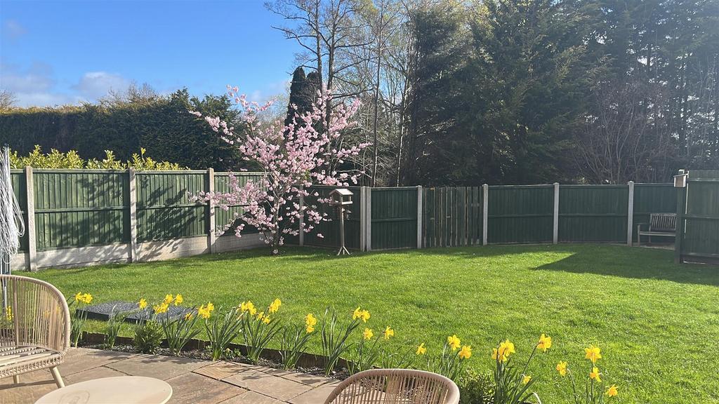 The Garden in the Spring