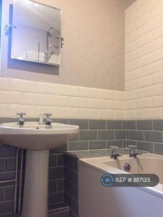 Bathroom (And Screened Shower)