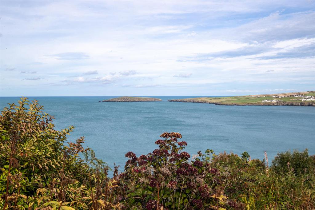 Views of Cardigan Island / Cardigan Bay