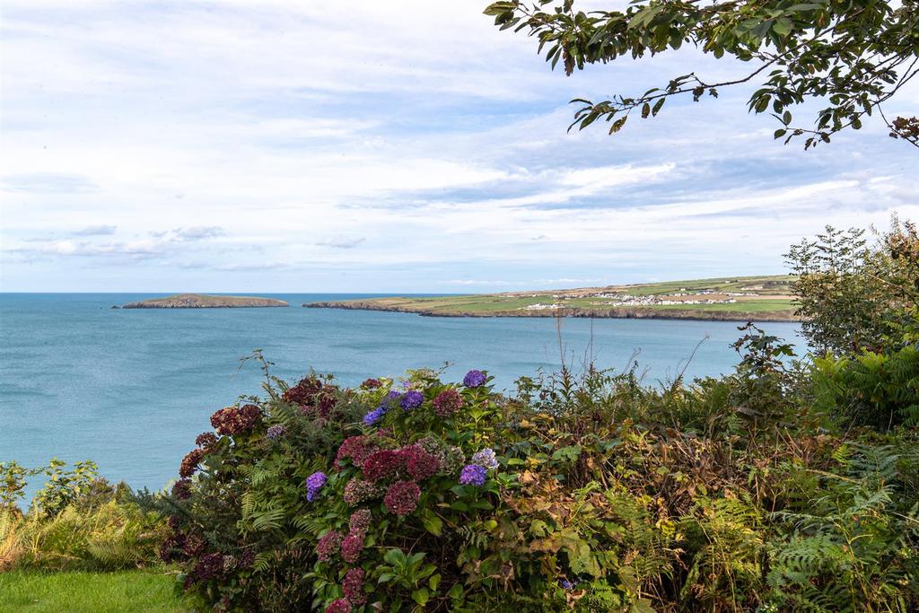Views of Cardigan Island / Cardigan Bay