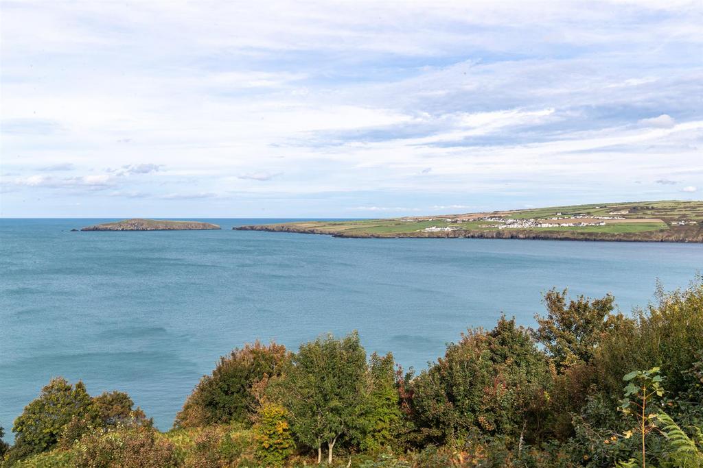 Views of Cardigan Island / Cardigan Bay