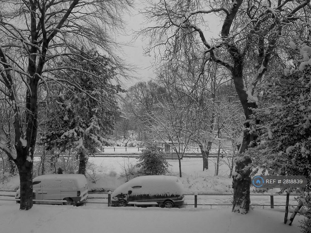 Bedroom Views Onto The Common
