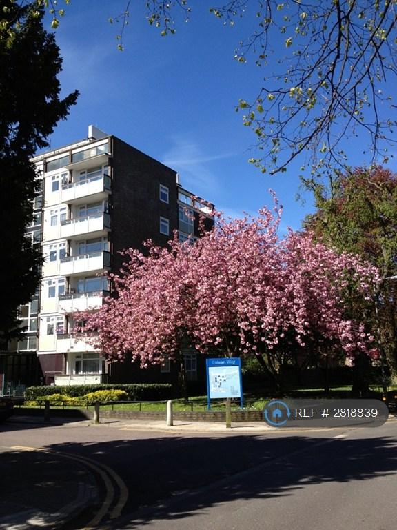 Outside Block Of Flats