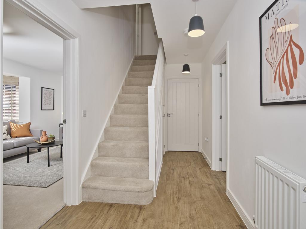 Showhome Photography