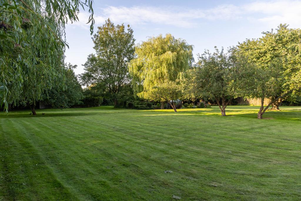 Grounds