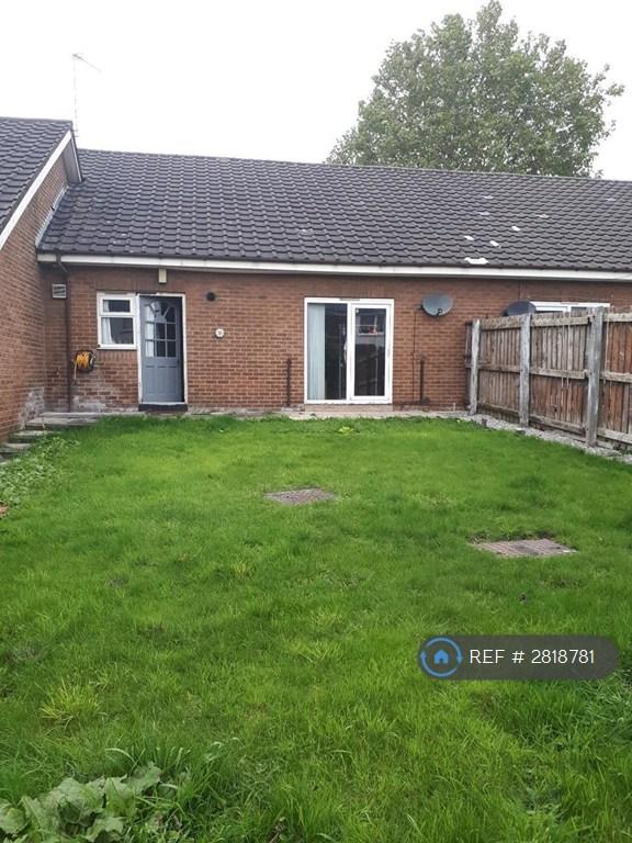 Rear Garden Viewing 1
