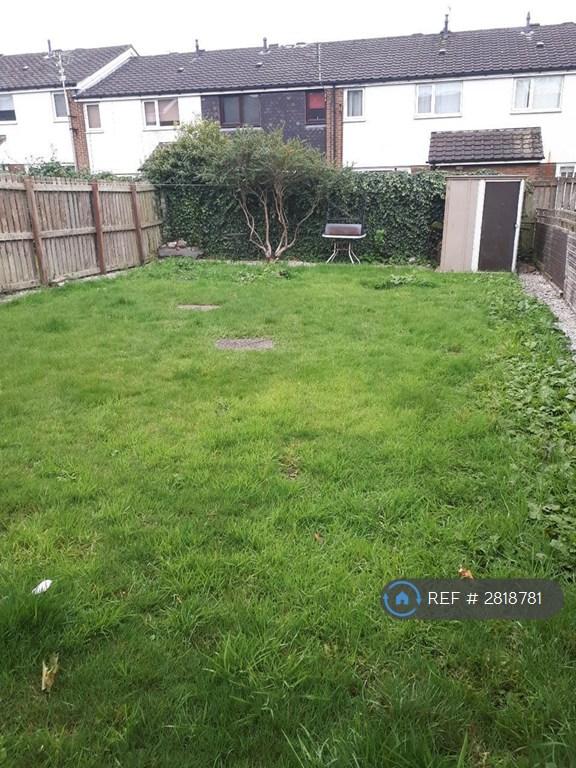 Rear Garden Viewing 2