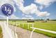 Additional image 13 of The Foxdale - Plot 231 at Swinnow Park, Swinnow Park, Racecourse Approach LS22