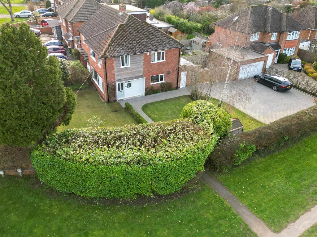 Dji fly 20260220 221226 87 1772783076596 photo.jpg