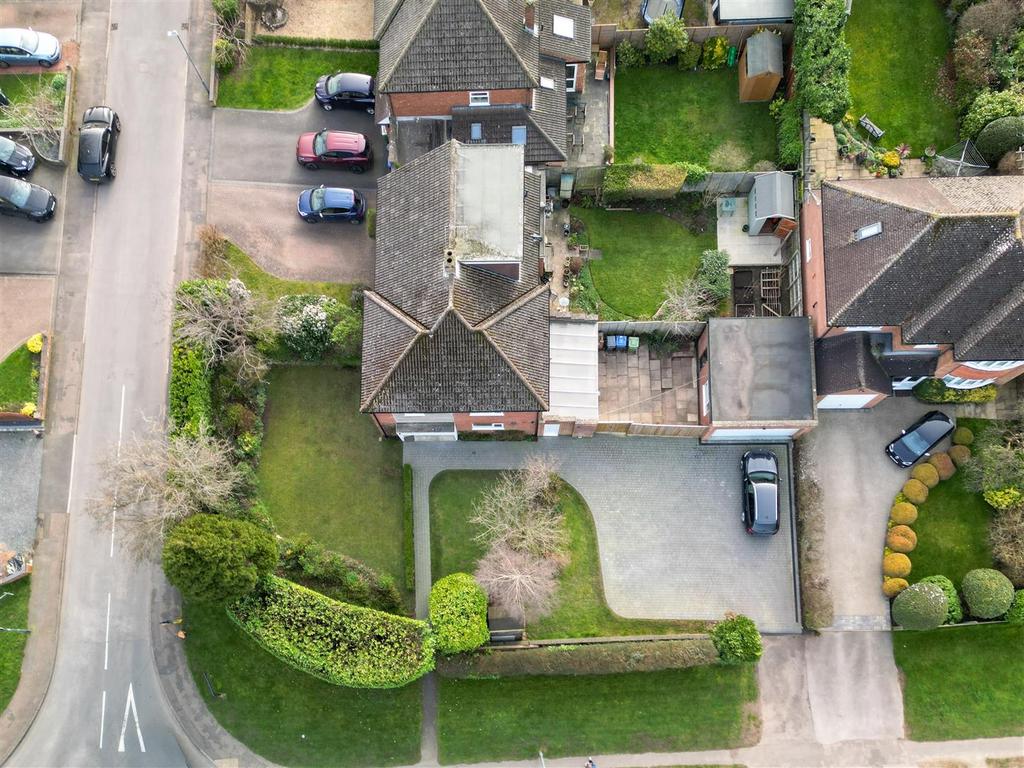 Dji fly 20260220 221128 84 1772783077487 photo.jpg