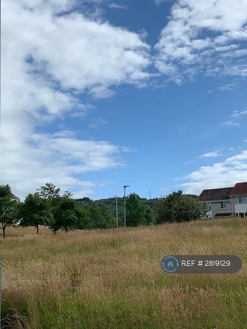 View To The Braes