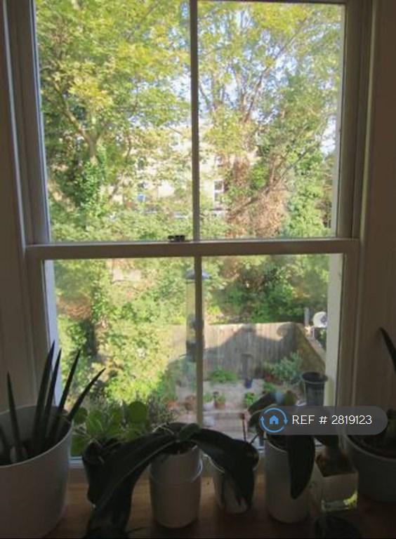 View Out The Kitchen Window