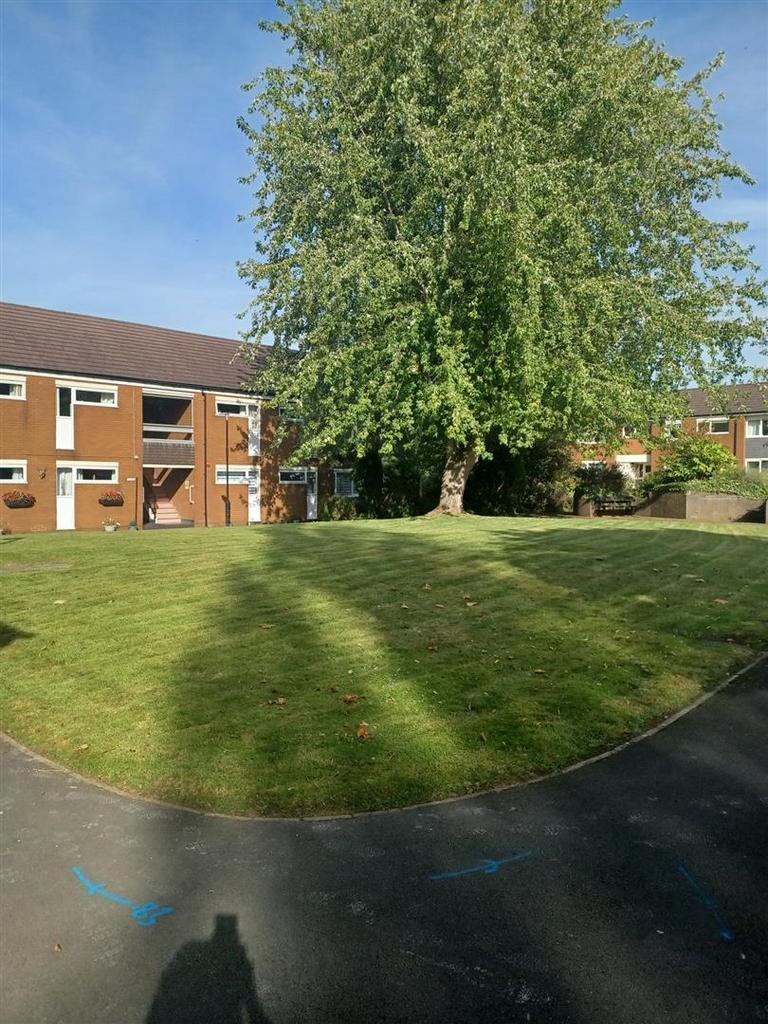 Garden 1.jpg