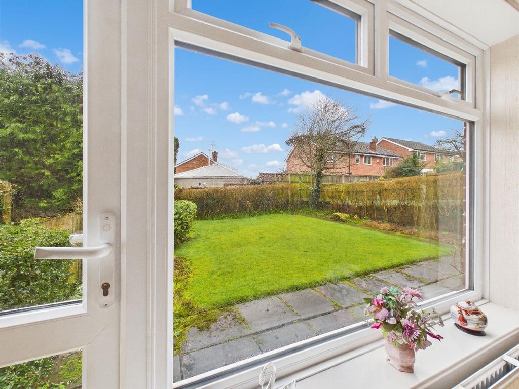 View from Window