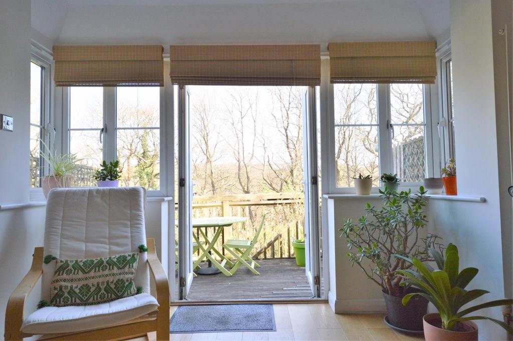 Patio Doors