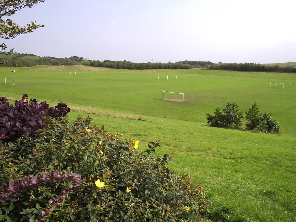 Nearby Birchenwood Country Park