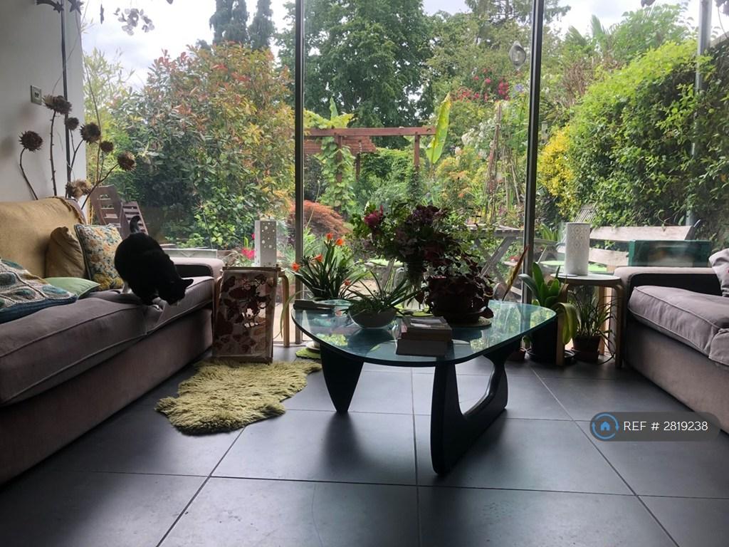 Dining / Living Room