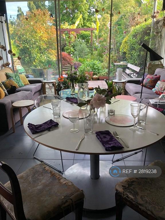 Dining / Living Room