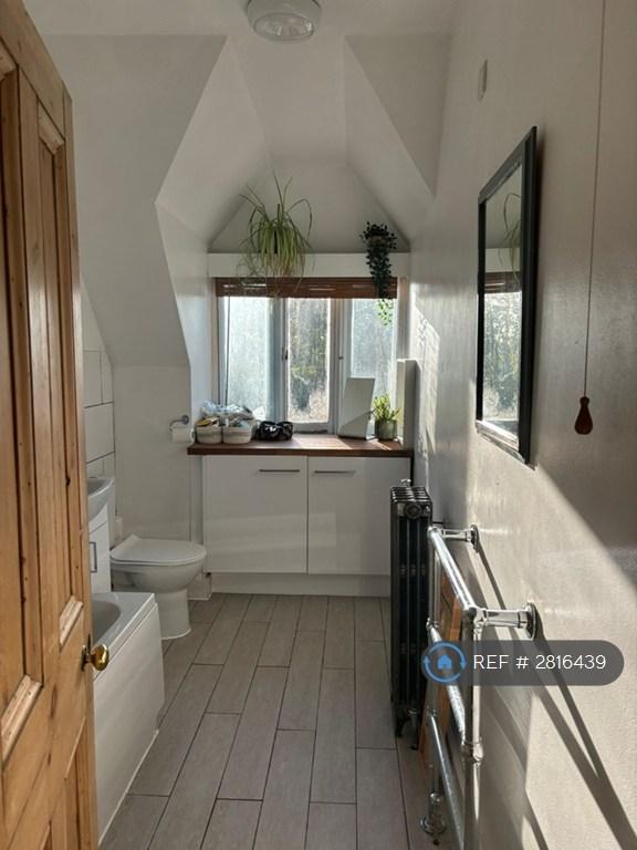 Newly Renovated Bathroom