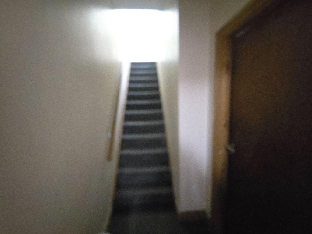 Photograph 6