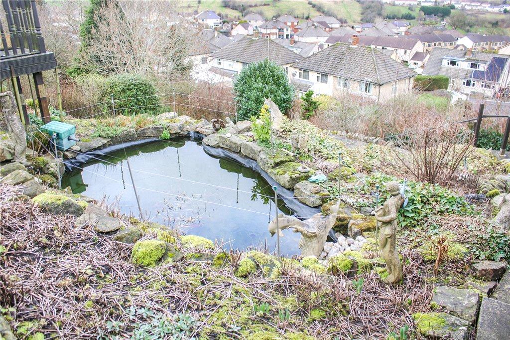 Water Feature