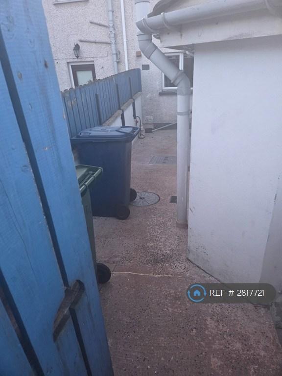 Back Garden