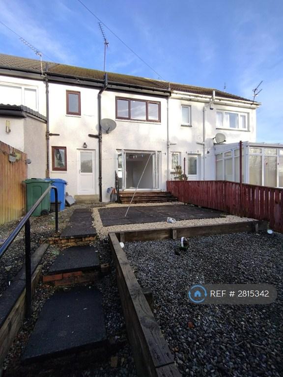 Back Garden