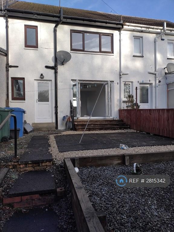 Back Garden