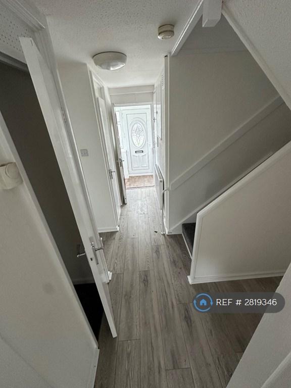 Downstairs Hallway