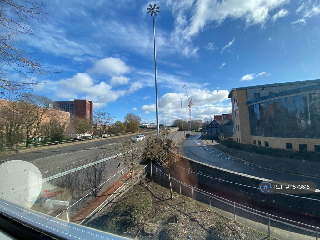 View From Living Room Window