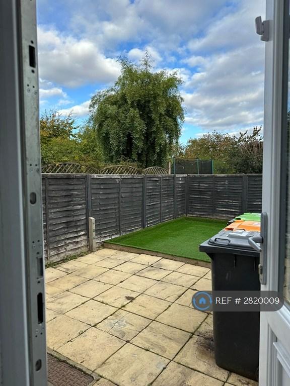 Back Garden