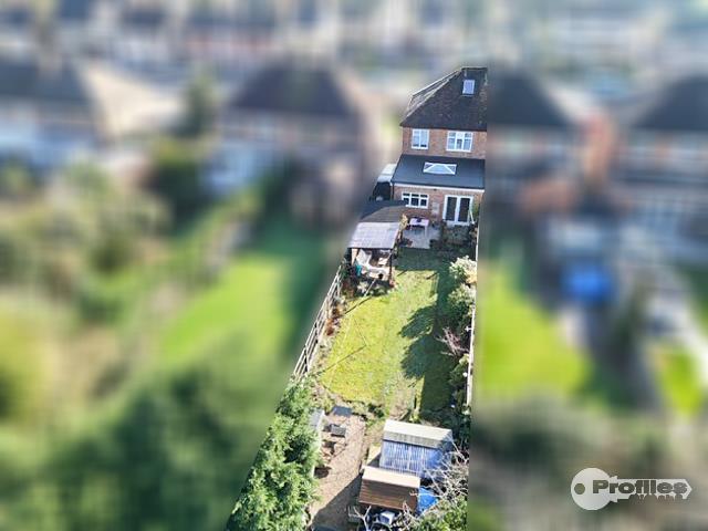 AERIAL.jpg