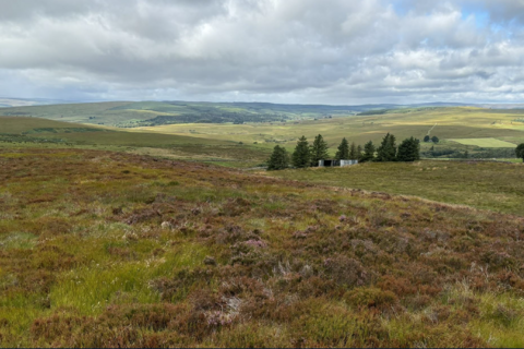 undefined, Land on the South-East side of Sundaysight, Bellingham, Hexham,, Northumberland, Newcastle upon Tyne NE48 2JE