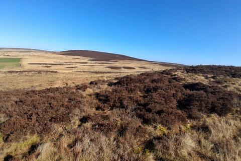 undefined, Land on the South-East side of Sundaysight, Bellingham, Hexham,, Northumberland, Newcastle upon Tyne NE48 2JE