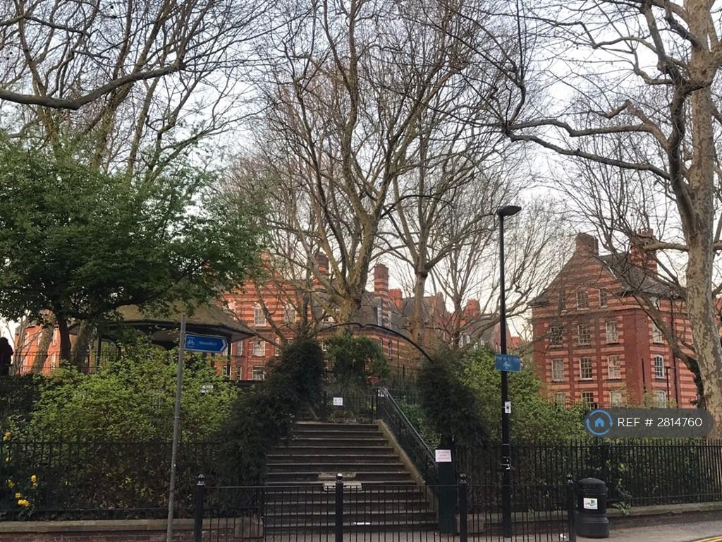Arnold Circus