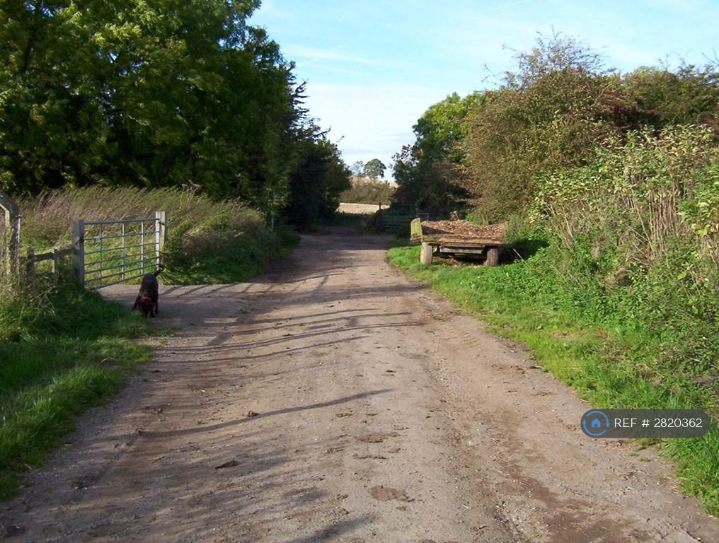 Broad Lane Toward Canal
