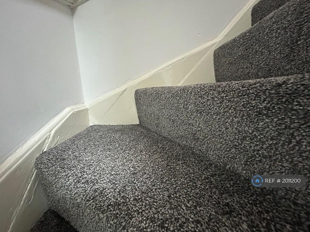 New Carpet, Warm And Bouncy!