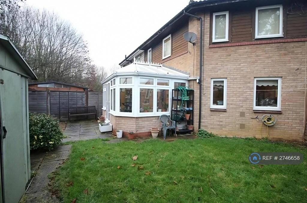 Back Garden